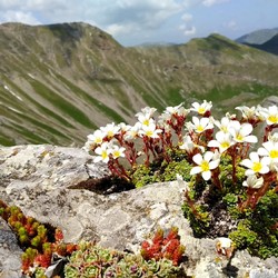 NaturBosniaHerzegovina Image 9